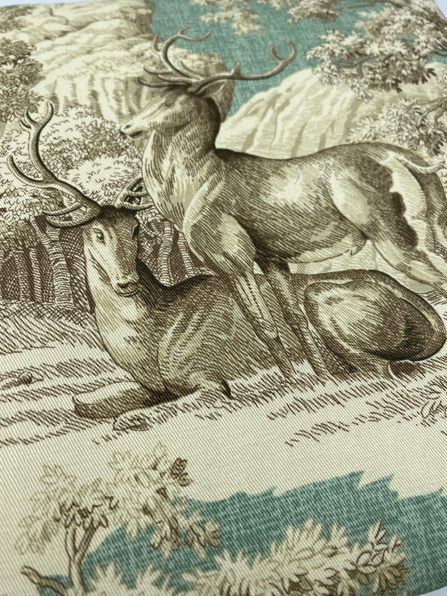 Schatzkiste Wildfreunde