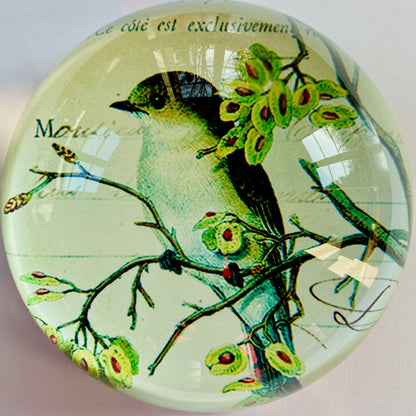 Paperweight