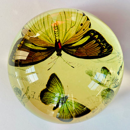 Paperweight